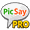 Imagem de PicSay Pro - Photo Editor