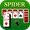 Zdjęcie Spider Solitaire gra karciana